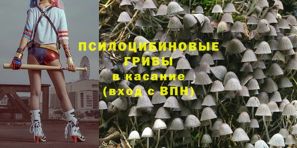 a pvp Майский