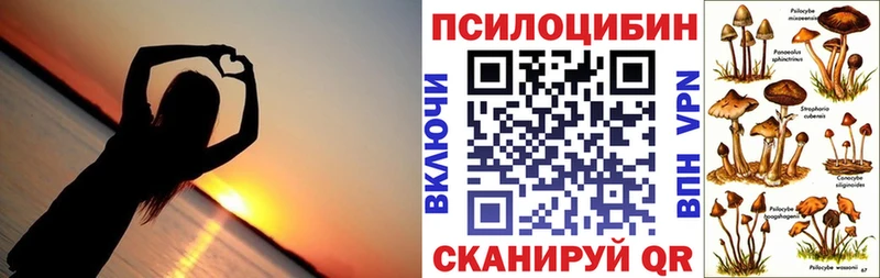 как найти закладки  кракен ONION  Галлюциногенные грибы прущие грибы  даркнет телеграм  Пущино 